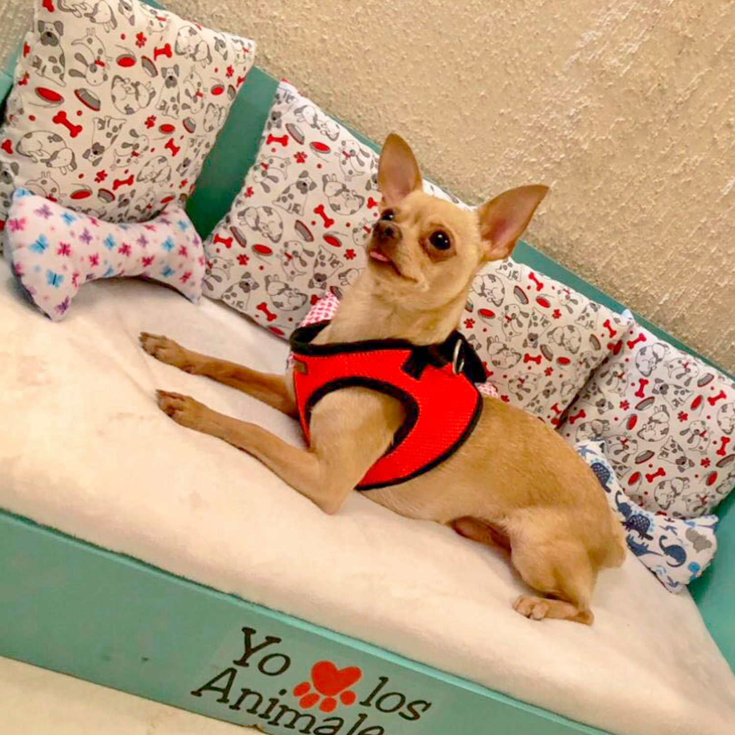 Pet Friendly Hotel Santa Irene Guadalajara